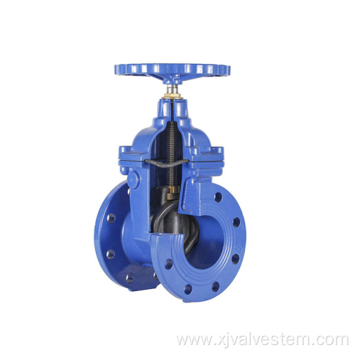 Corrosion resistant stainless steel gate valve